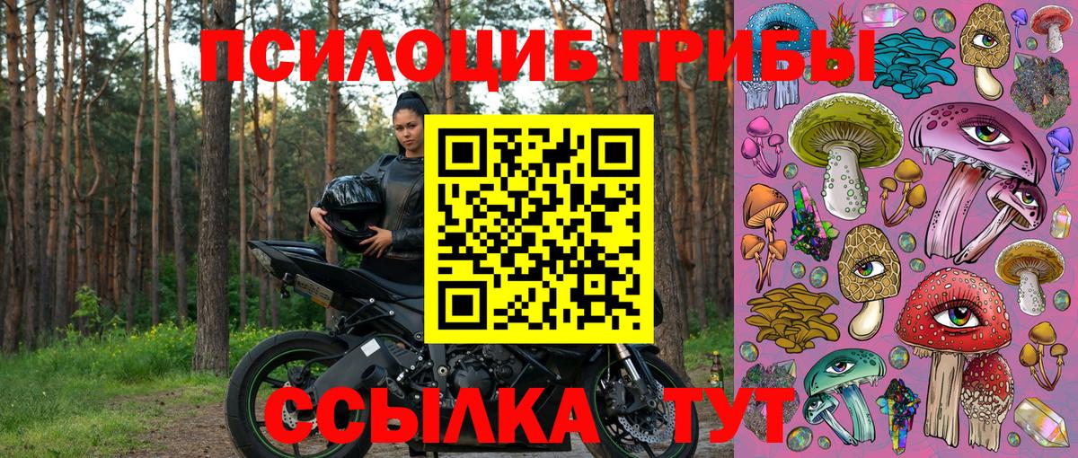 Красноярск  Галлюциногенные грибы MAGIC MUSHROOMS  Вход с VPN 